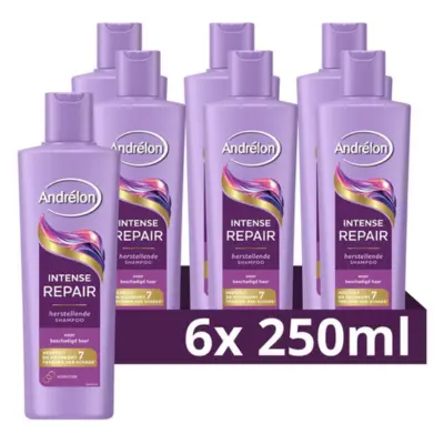 Andrélon - Shampoo - Intense Repair - 6 x 250 ml