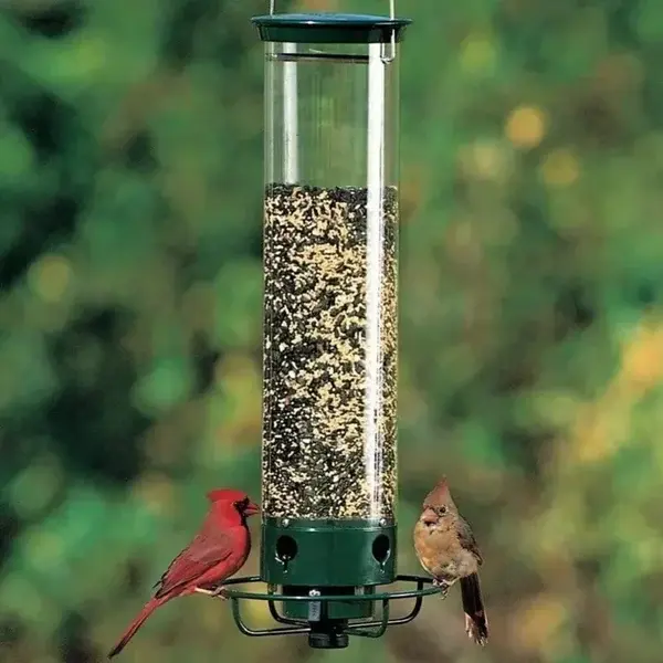 BirdHaven™ Eichhörnchen-sichere Vogelfutterstelle