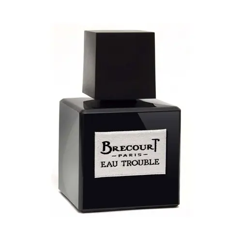 Brecourt Eau Trouble