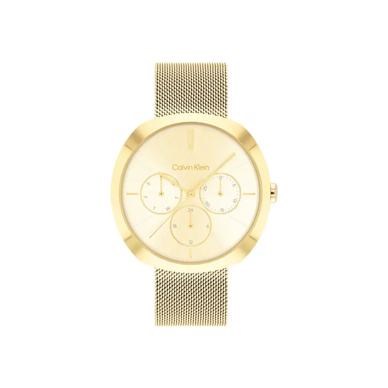 Horloge Dames Calvin Klein 25200339