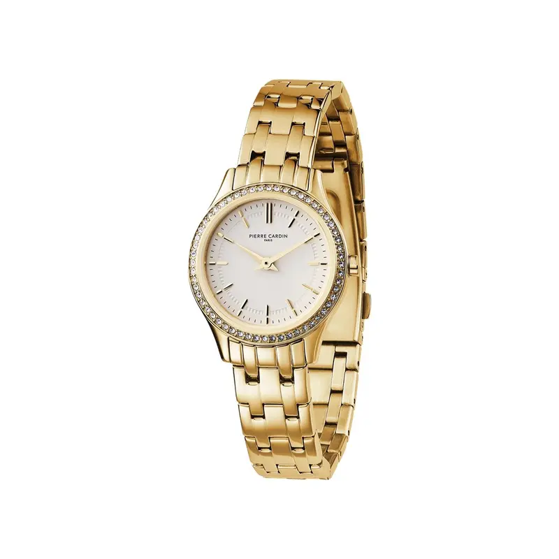 Horloge Dames Pierre Cardin CF.0607.SE.G (Ø 30 mm)