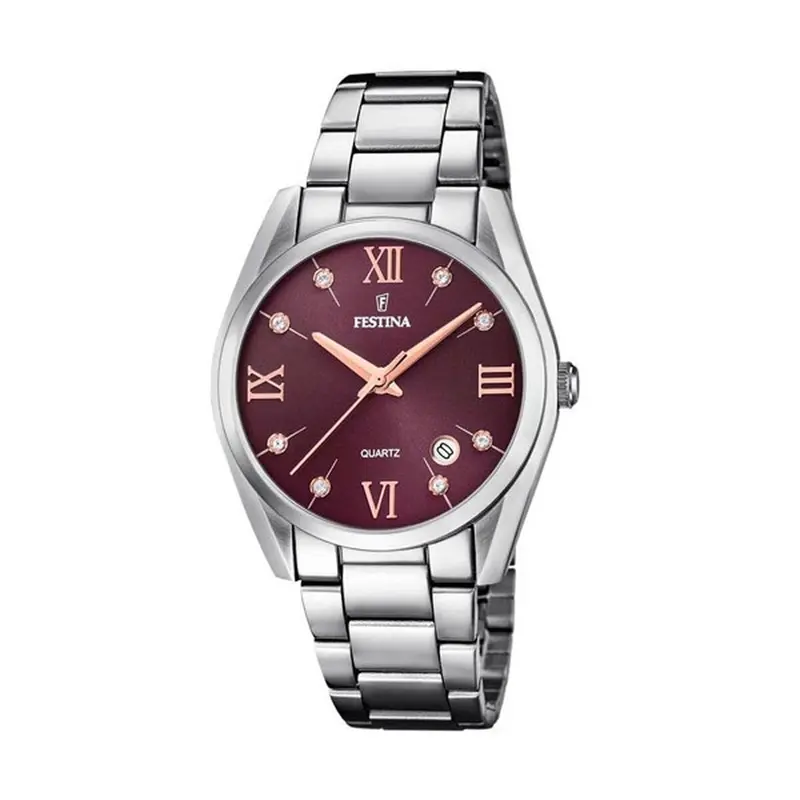 Horloge Heren Festina F16790/E Bruin Zilverkleurig Ø 37 mm