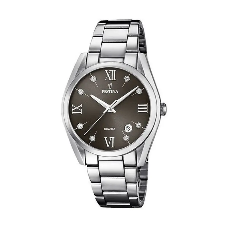 Horloge Heren Festina F16790/F Grijs Zilverkleurig