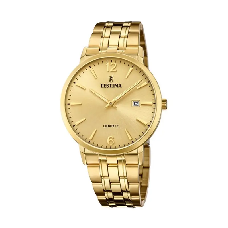 Horloge Heren Festina F20513/3 Gouden