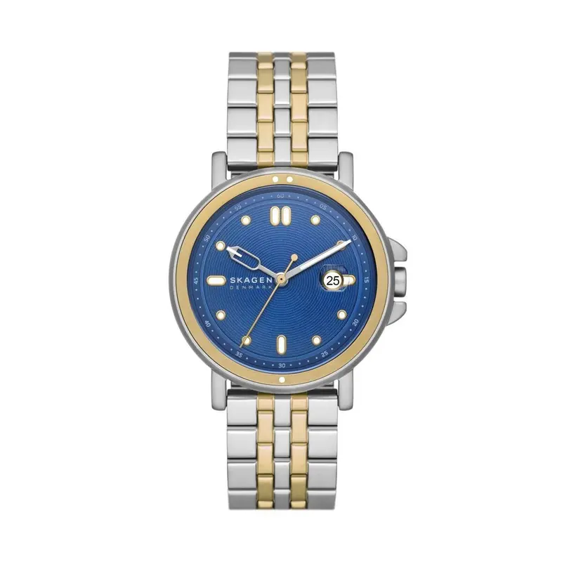 Horloge Heren Skagen SKW6921 Zilverkleurig (Ø 40 mm)