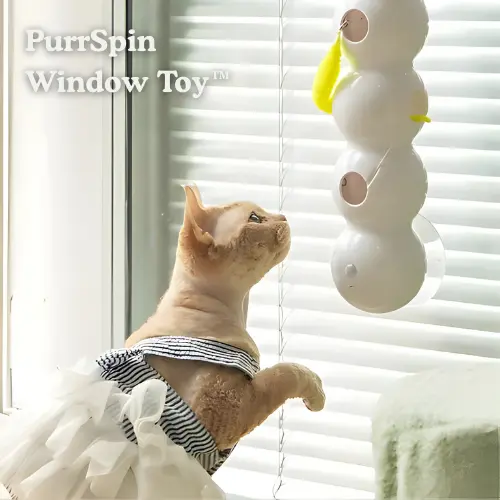 Katzen-Fensterspielzeug mit Saugnäpfen 40 cm | Drehbares Jagdspielzeug mit Anhänger | Beschäftigung für Wohnungskatzen