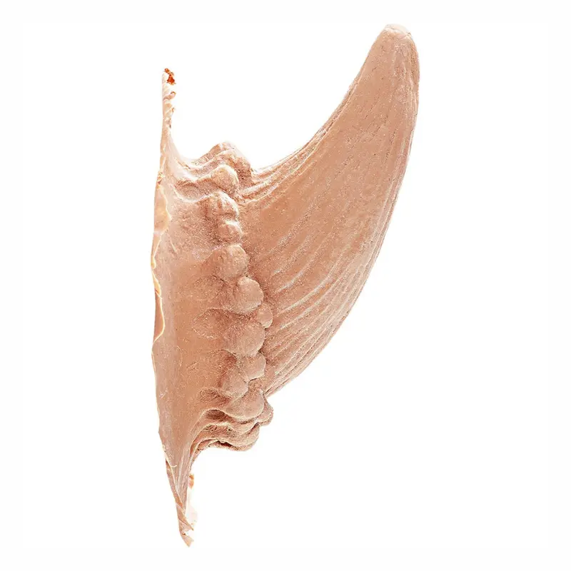 Latex Horns Devil