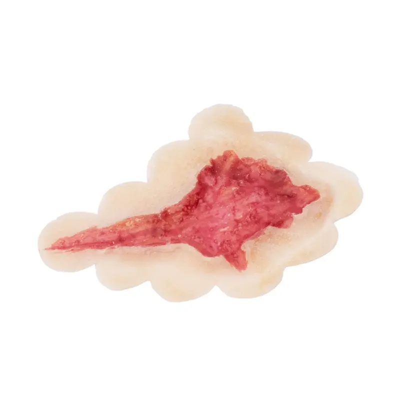 Latex Protheses Open Wound 805