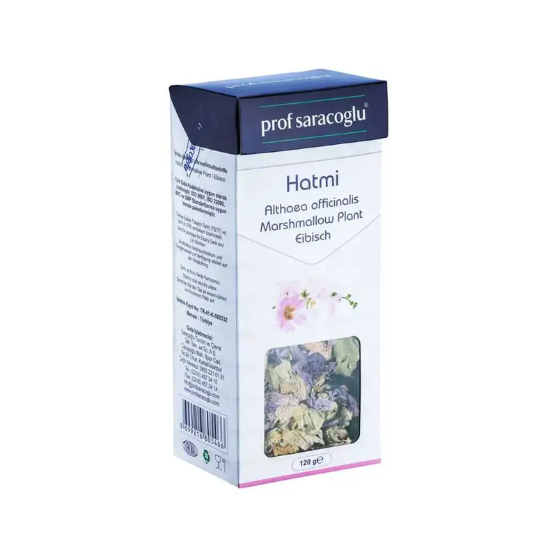 Marshmallow flower (Althea officinalis)