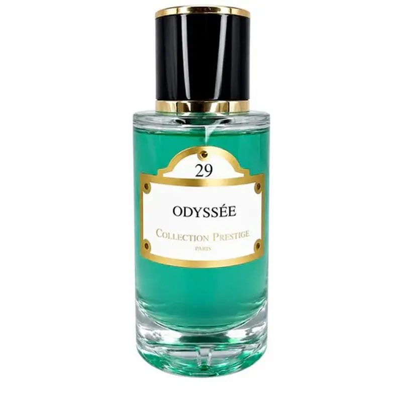 Odysee N°29