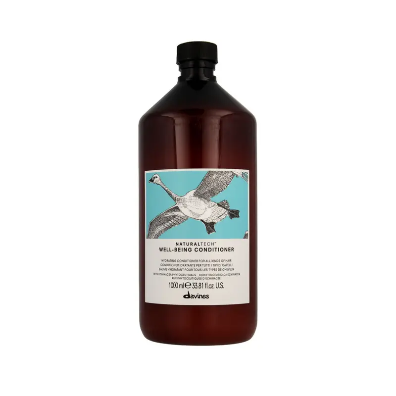 Ontklittende Conditioner Davines Well-Being Hydraterend