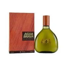PUIG Agua Brava Eau De Keulen 100 ML