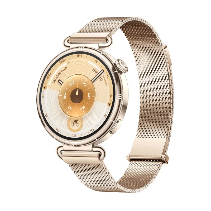 Smartwatch Huawei Watch GT 6 Konsu-B19M Gouden 1,32"