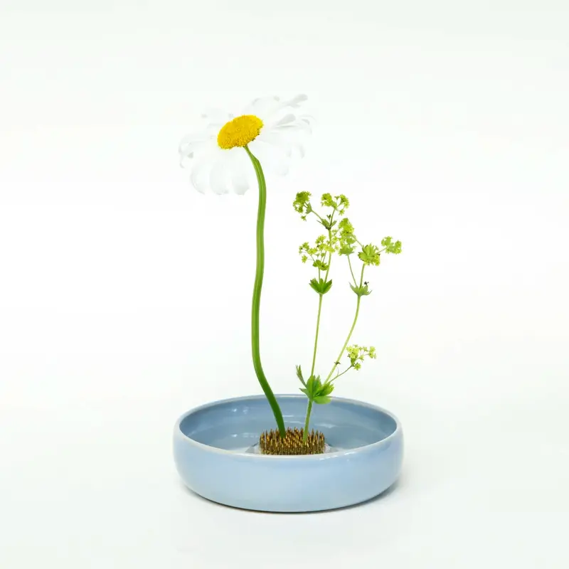 Tiny Curved Bowl