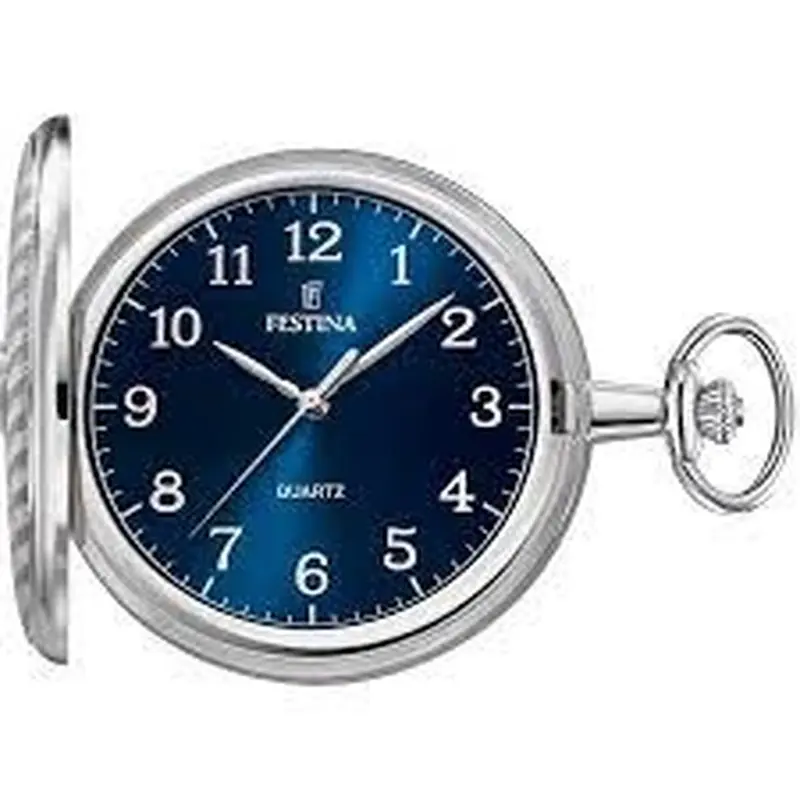 Zakhorloge Festina F2021/2