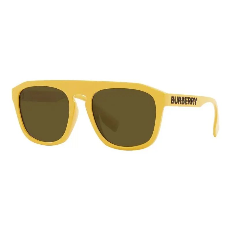 Zonnebril Heren Burberry WREN BE 4396U