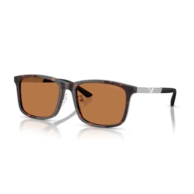 Zonnebril Heren Emporio Armani EA 4241D